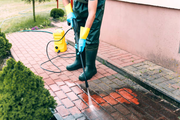 Best Roof Power Washing Services  in Eddyville, IA